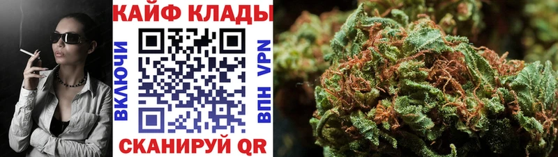 Купить закладку COCAIN  МЕФ  Метадон  Гашиш  Щёлкино