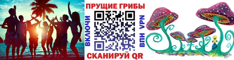 Купить закладки  Щёлкино  Галлюциногенные грибы Magic Shrooms 